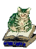 460>_666313